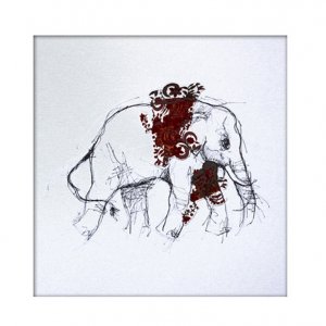 Image Gallery