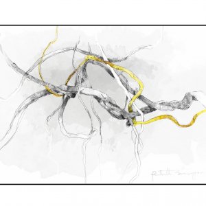 Image Gallery