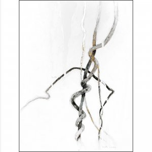 Image Gallery